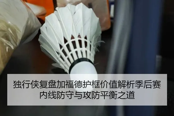 独行侠复盘加福德护框价值解析季后赛内线防守与攻防平衡之道